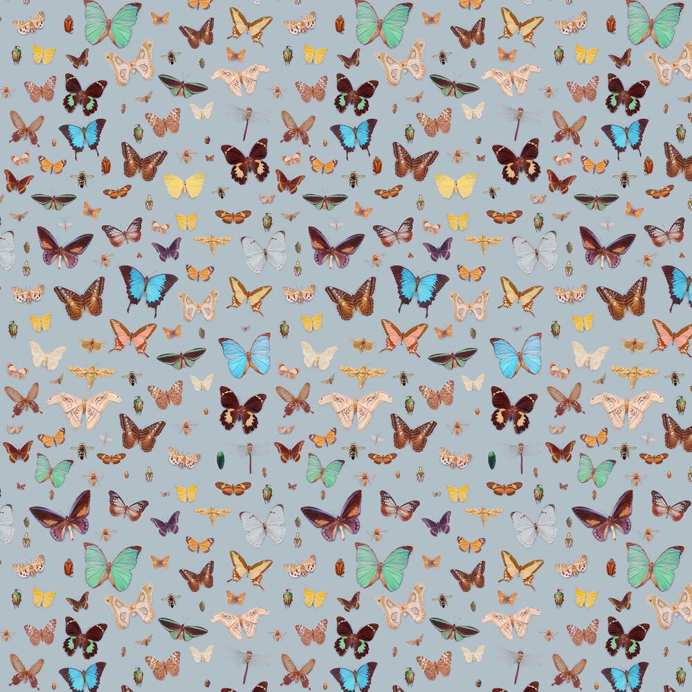 Bugs And Butterflies By Ella Doran Coloured : Wallpaper Direct
