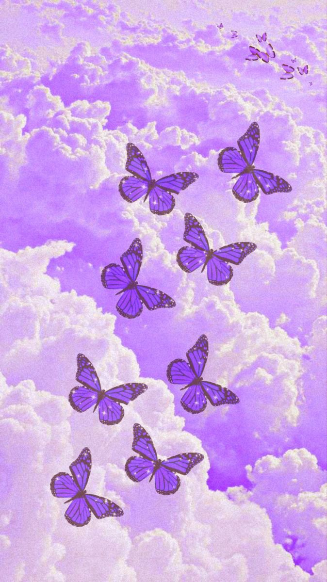 Aesthetic purple butterfly wallpaper with clouds - Butterfly