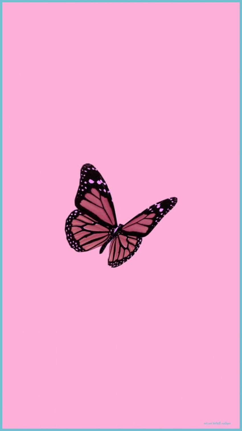 Aesthetic butterfly wallpaper for your phone or desktop computer. - Butterfly