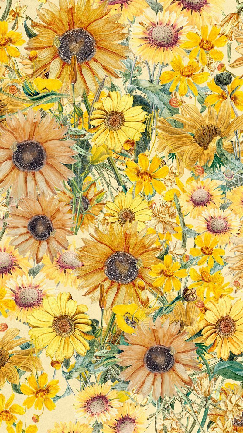 Sunflower Wallpaper Image. Free