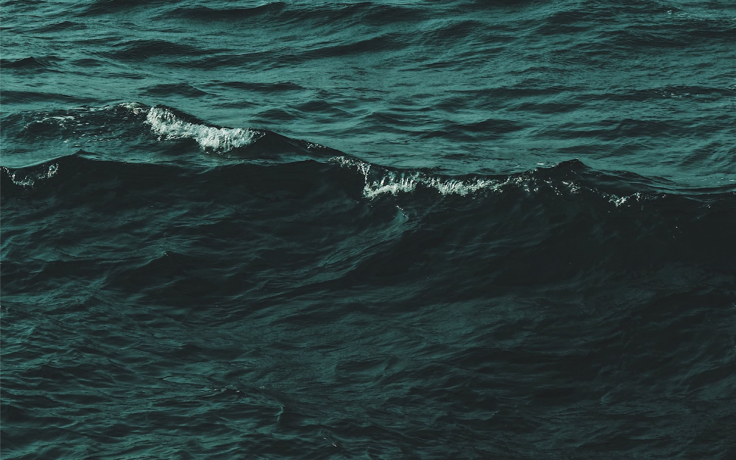 A wave in the ocean with the color of the water being a deep teal. - Ocean