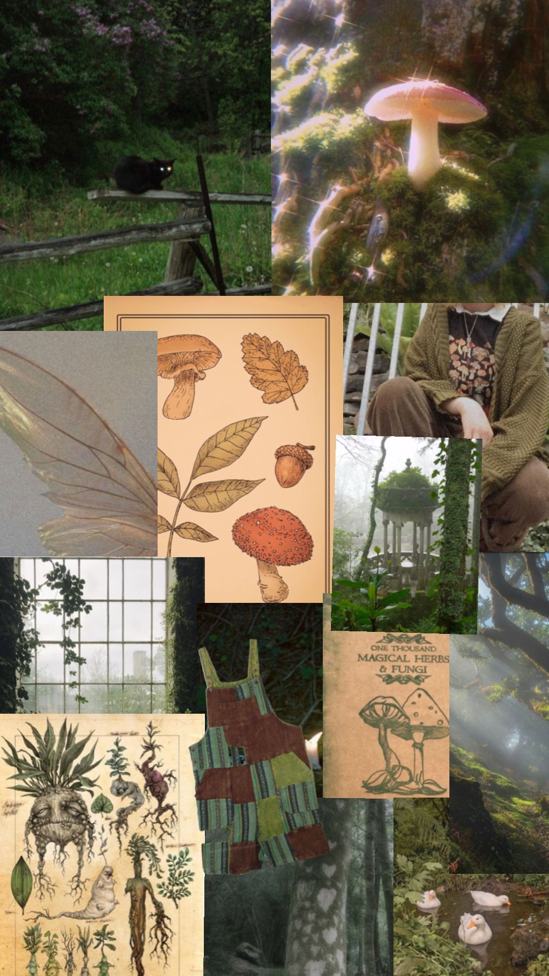 A moodboard featuring various elements of nature such as mushrooms, leaves, and plants. - Goblincore