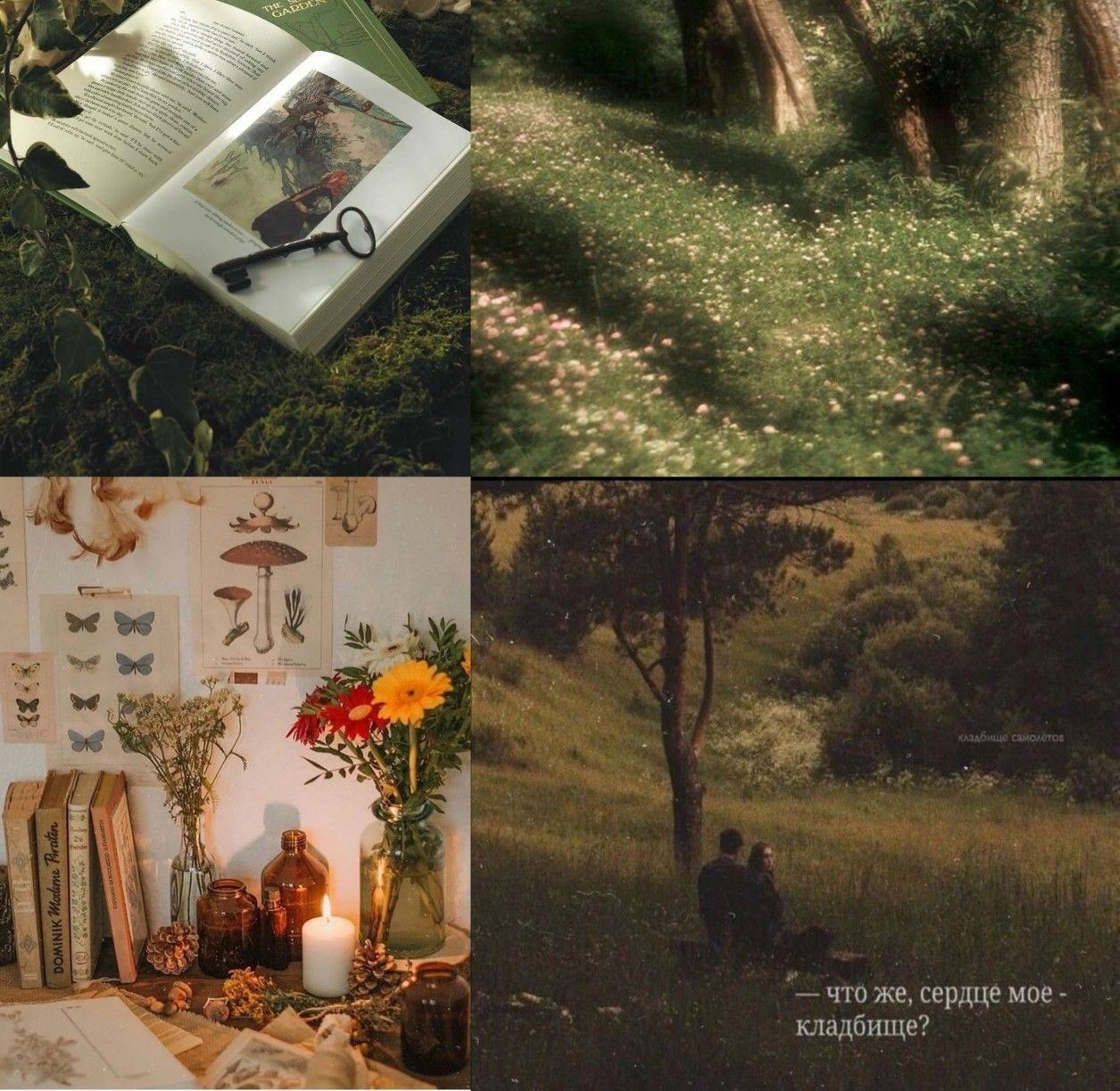Aesthetic pictures of books, flowers, and a forest. - Goblincore