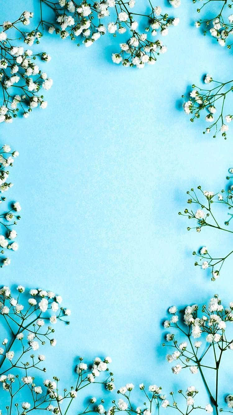 Download Blue Flowers Borders Aesthetic Wallpaper