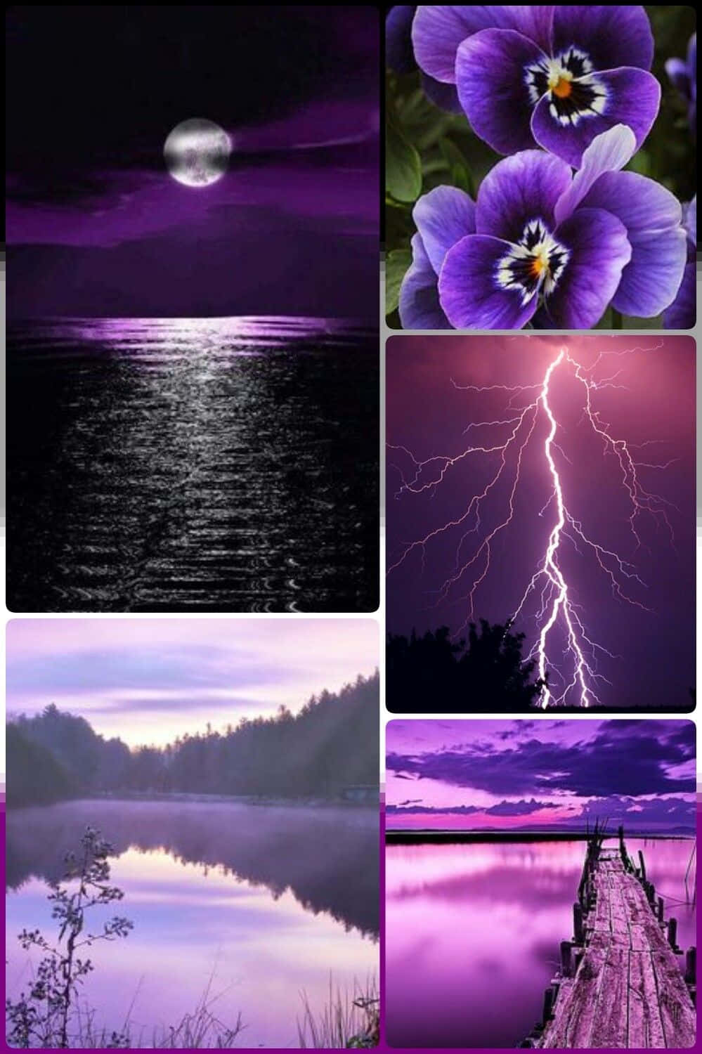 Download Cool Purple Asexual Color Collage Wallpaper