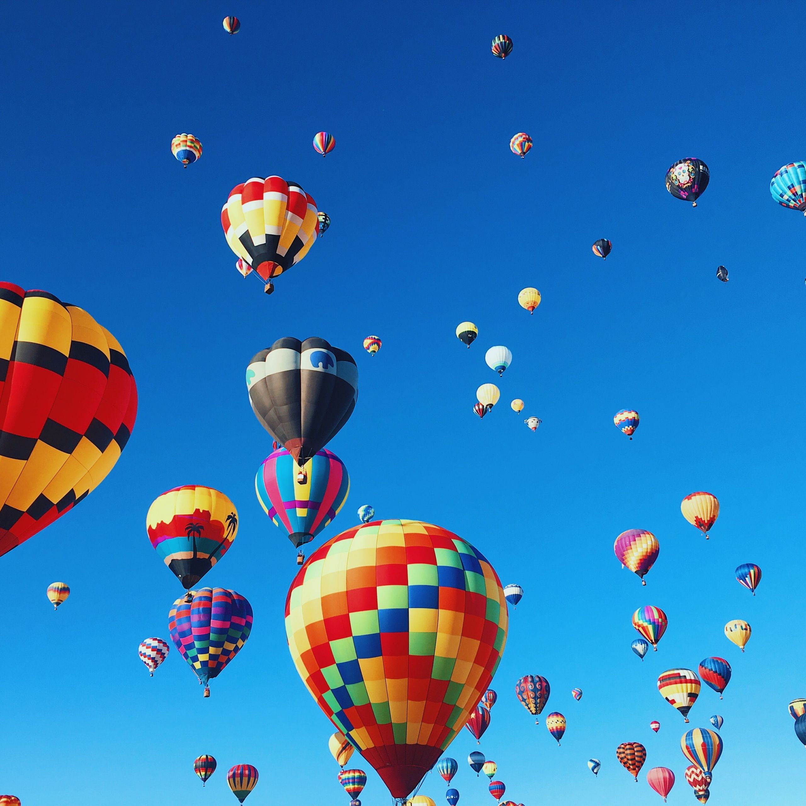 Hot air balloons Wallpaper 4K, Festival, Colorful, Blue Sky