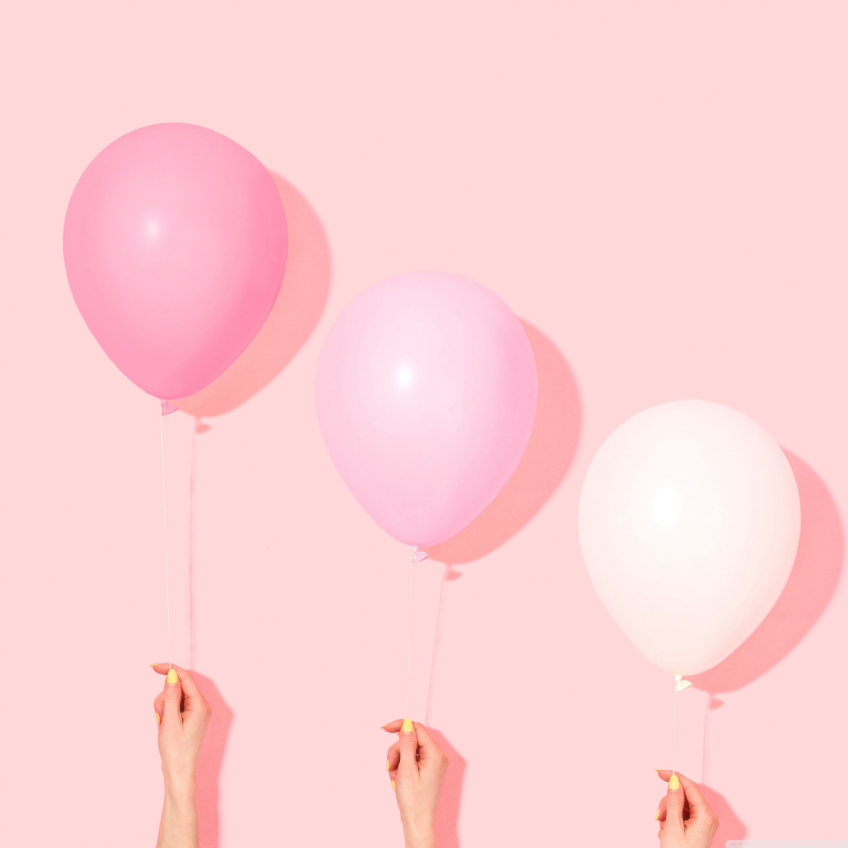 Three hands holding pink and white balloons on a pink background - Balloons