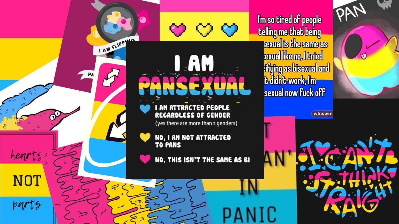 Pansexual Laptop Wallpaper