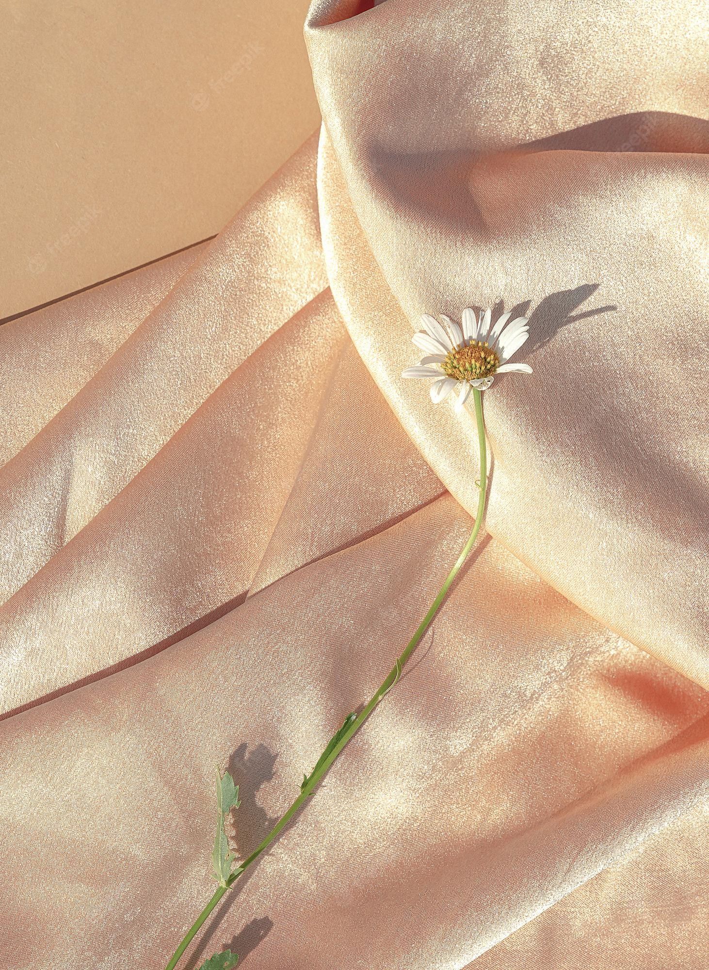 Premium Photo. Chamomile on silk fabric background. summer sunlight shadows. aesthetic minimal wallpaper. stylish plant composition