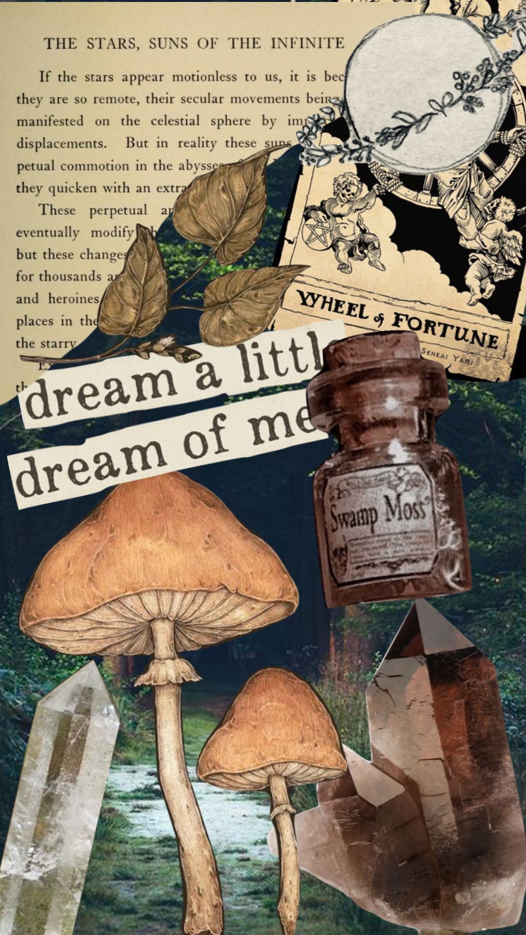 Collage of mushrooms, leaves, crystals, and a bottle of swamp moss. - Witchcore