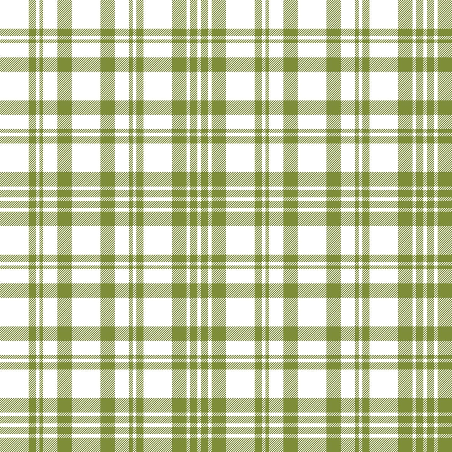 Green and white plaid fabric texture in a square pattern - Checkered, soft green
