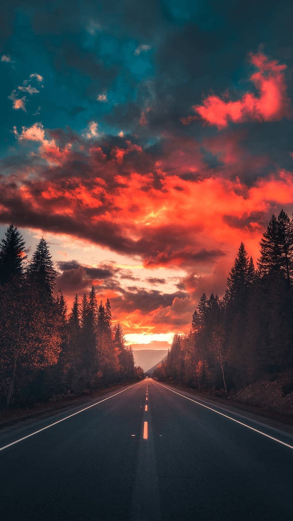 A beautiful road in the middle of the forest with a dramatic sunset in the background. - Scenery