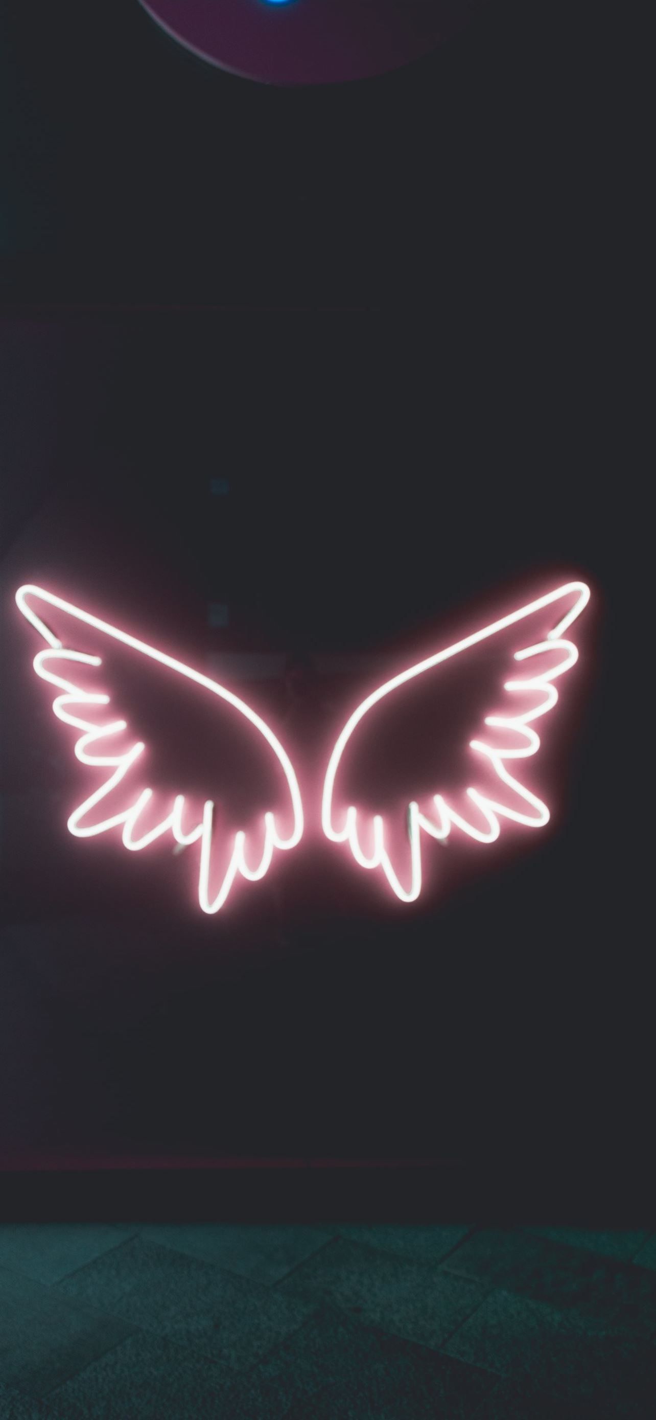 A neon sign of wings in pink and purple light. - Wings
