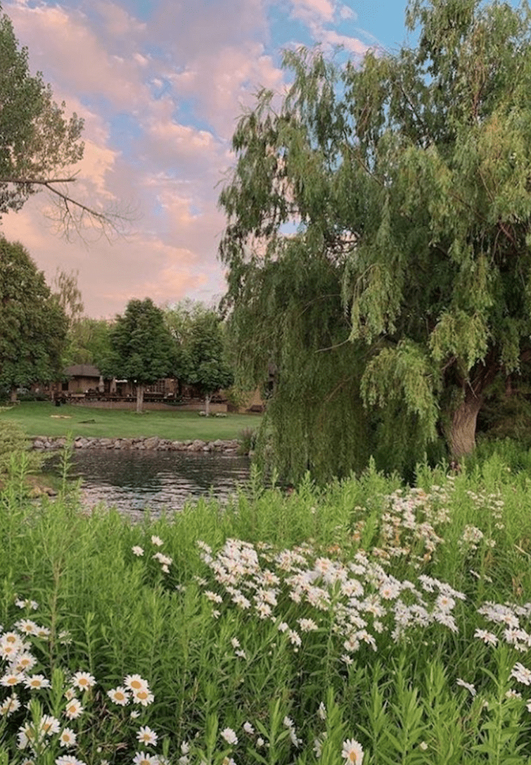 A pond surrounded by trees and white flowers. - Angelcore