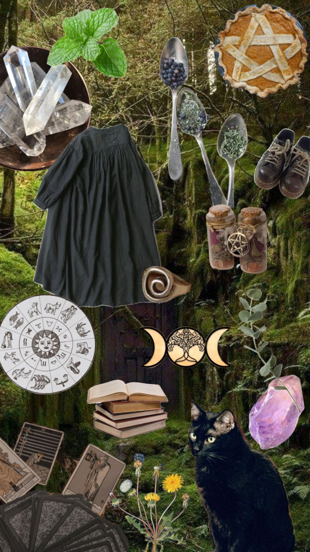 A collage of witchy items including a black dress, crystal, herbs, a cat, books, and a pentagram. - Witchcore