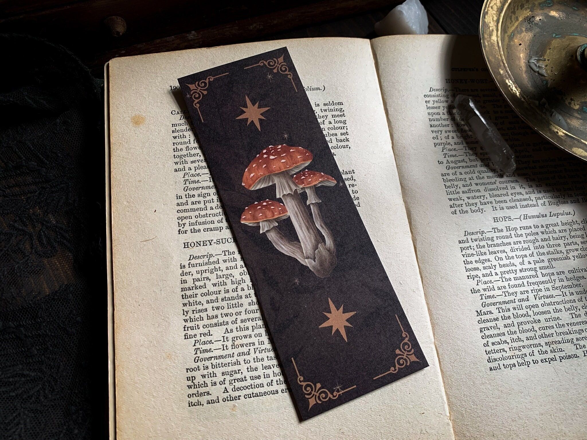 Mushrooms Bookmark Dark Academia Bookmarks Spooky