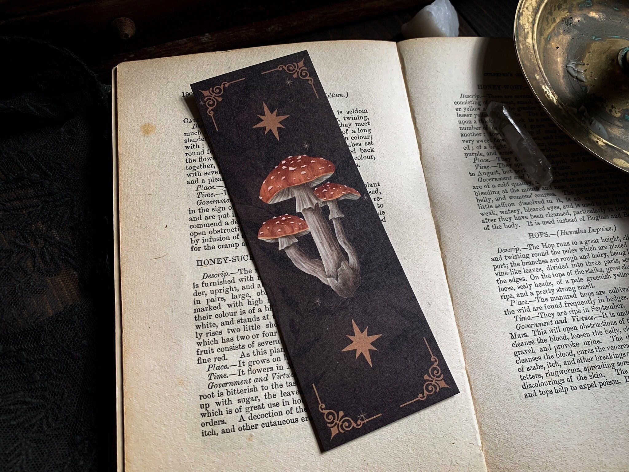 Mushrooms Bookmark Dark Academia Bookmarks Spooky. Perfect for your spooky book club or spooky book lovers. - Witchcore