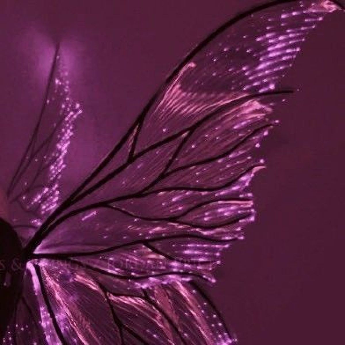 The wings of a fairy with fiber optics. - Wings