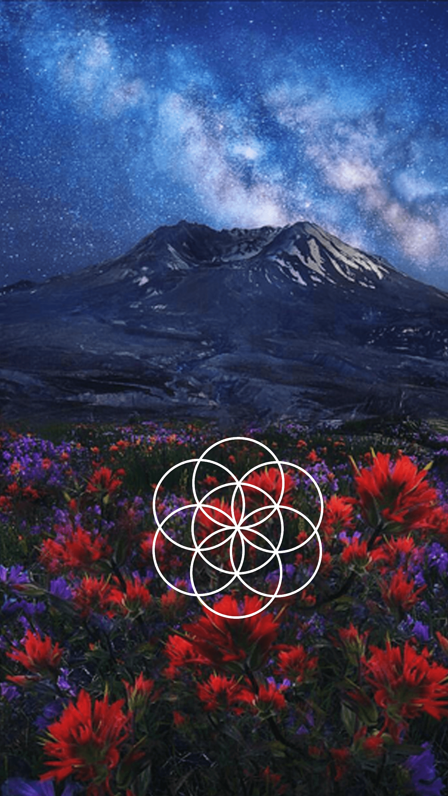 IPhone wallpaper of a mountain with flowers and the galaxy above - Spiritual