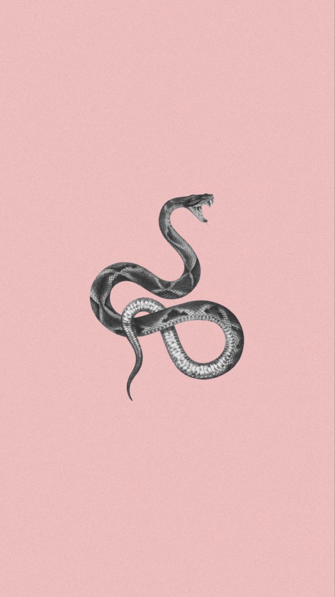 snake wallpaper aesthetic. Snake wallpaper, Cute wallpaper background, Edgy aesthetic