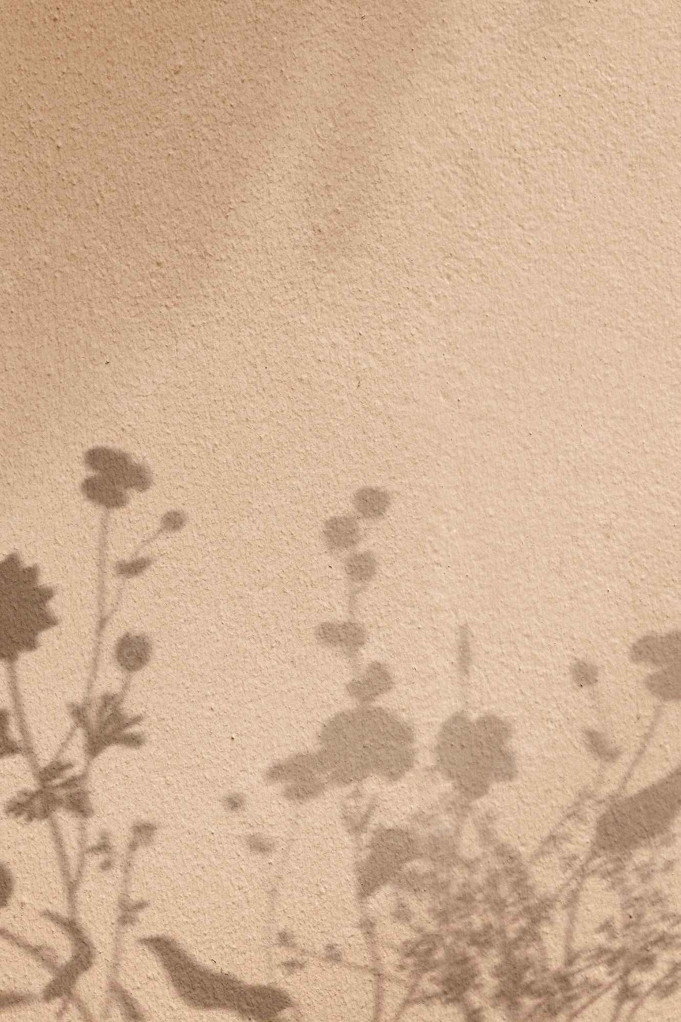 Flower Shadow Wallpaper Image