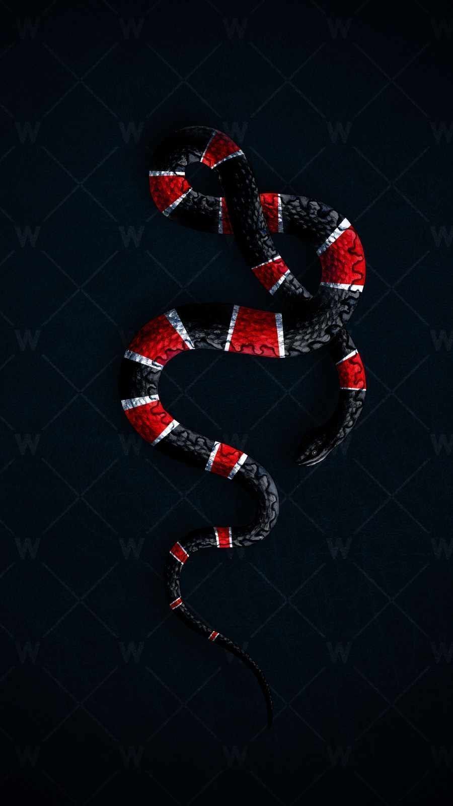 Aesthetic Gucci Snake Wallpaper Download