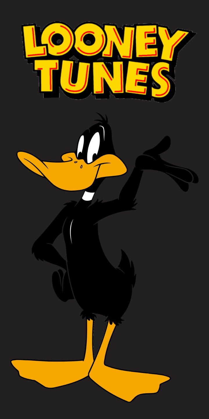 Download Looney Tunes Daffy Duck Wallpaper