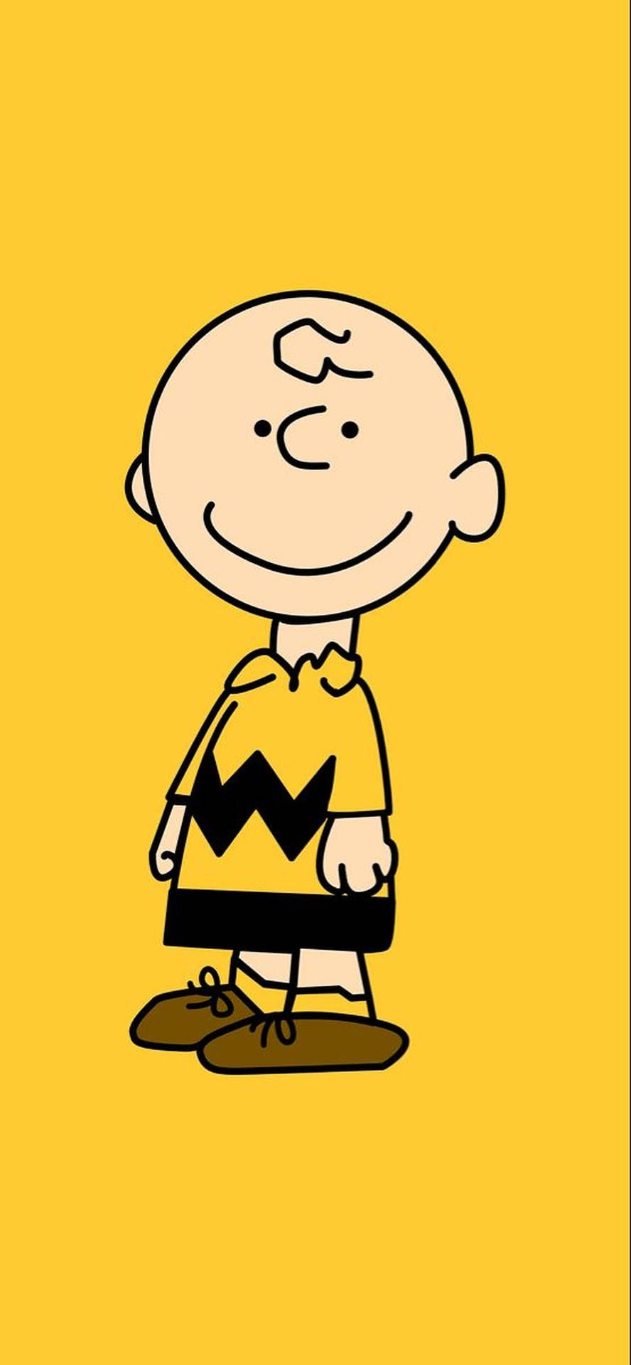 Charlie Brown iPhone Wallpaper with high-resolution 1080x1920 pixel. You can use this wallpaper for your iPhone 5, 6, 7, 8, X, XS, XR backgrounds, Mobile Screensaver, or iPad Lock Screen - Charlie Brown