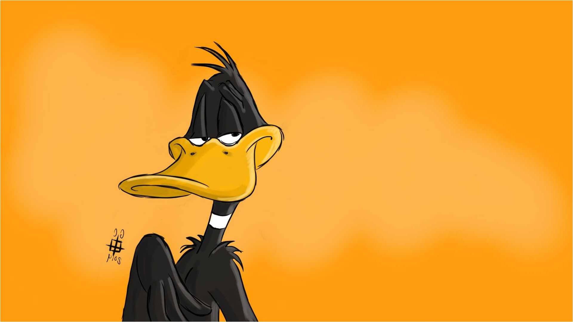 The Looney Tunes Show, Daffy Duck, Warner Bros. Cartoons, wallpaper, background - Looney Tunes