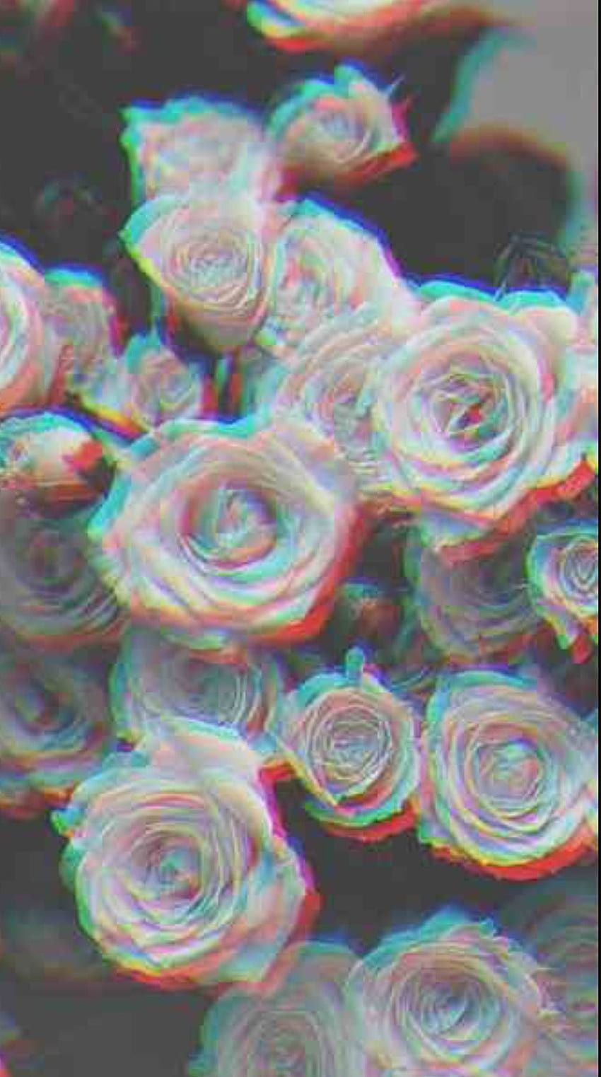 Glitch rose aesthetic HD wallpaper
