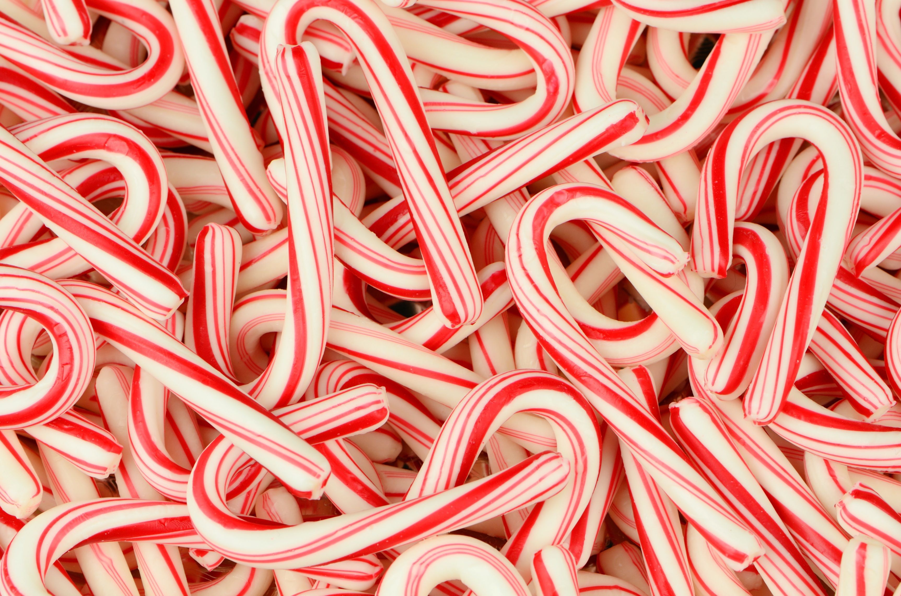 A close up of candy canes - Candy cane, candy