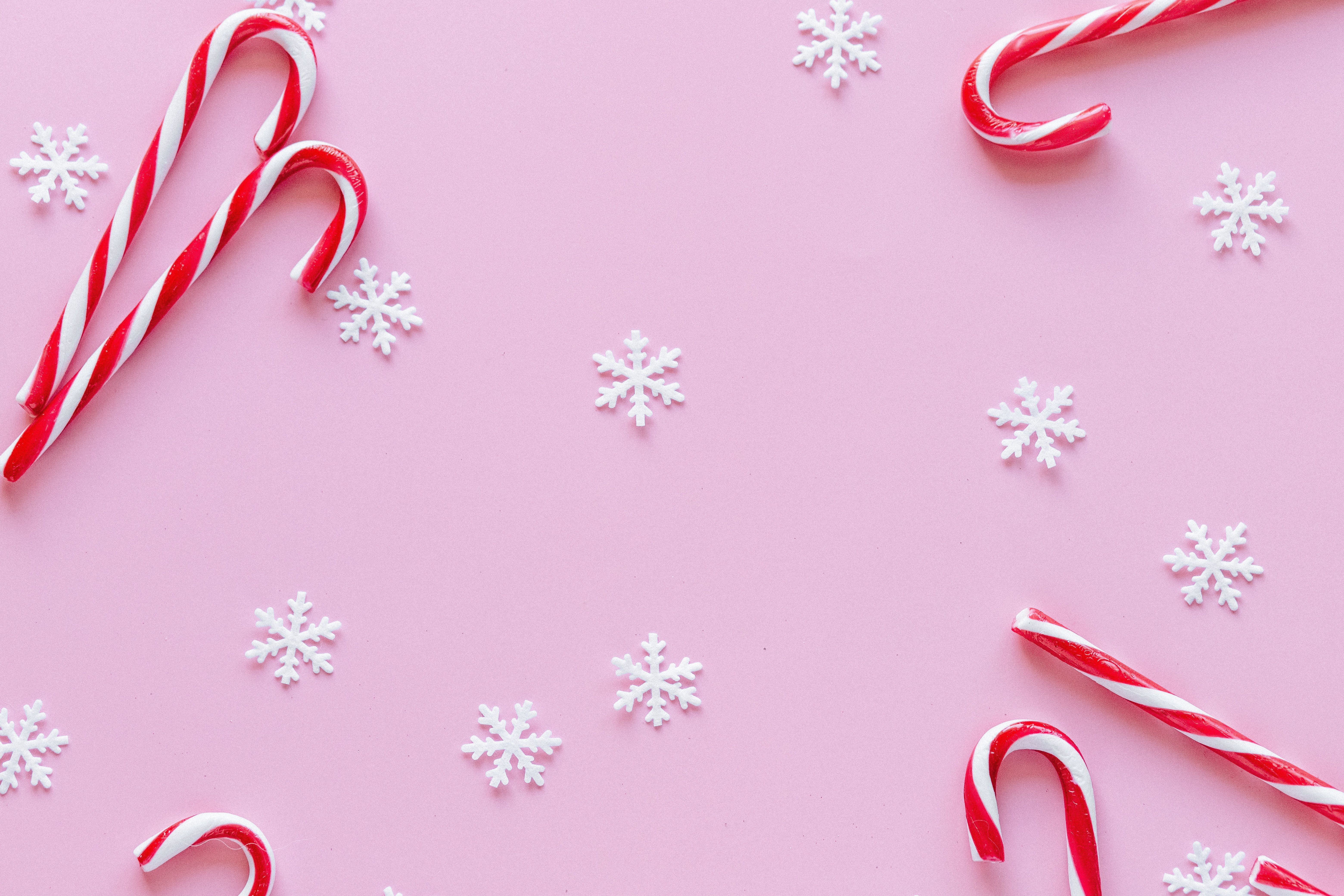 Candy Canes Photo, Download Free Candy Canes & HD Image