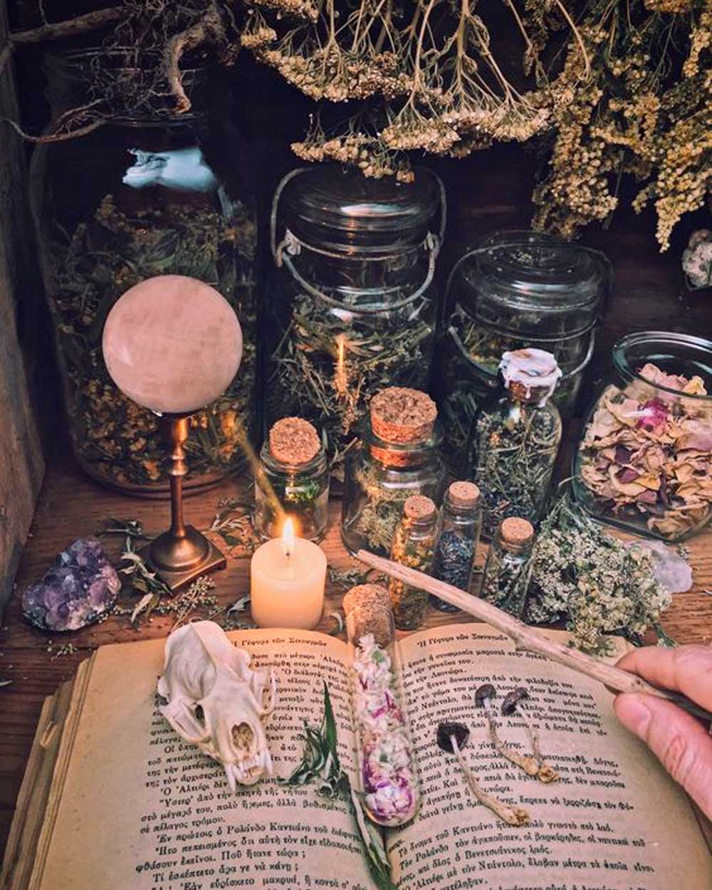 An open book with a skull and a wand in front of it. There are herbs and bottles in the background. - Witchcore
