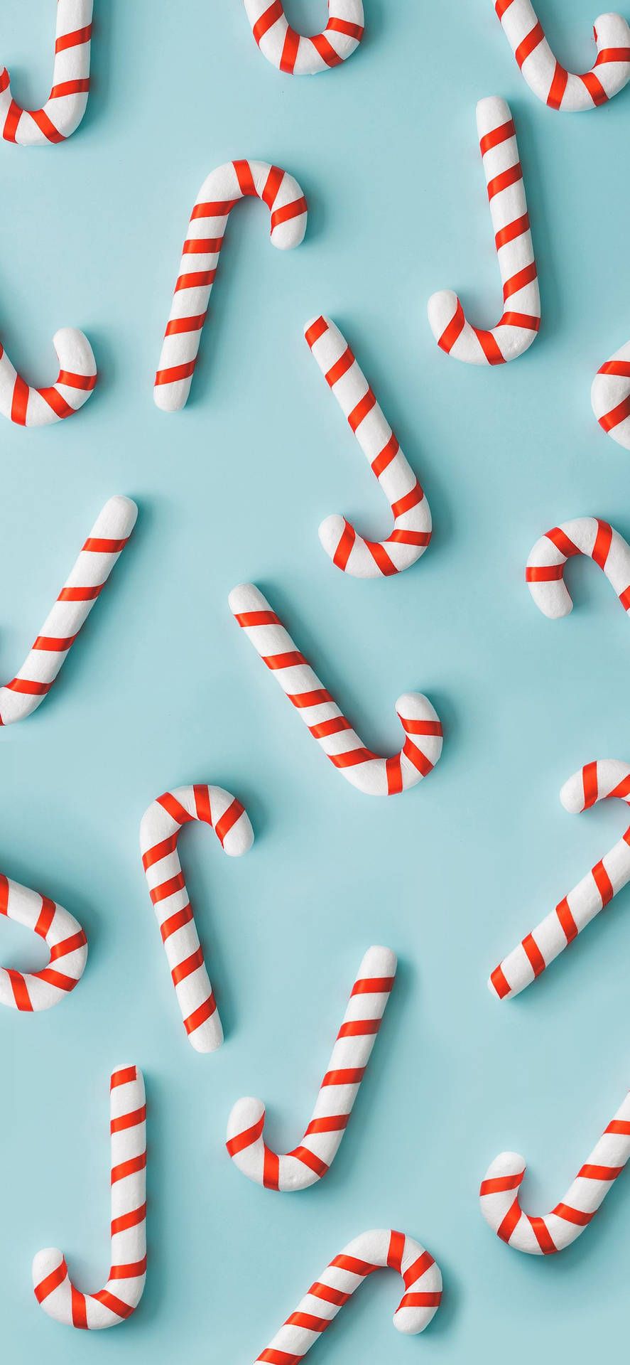 A close up of candy canes on blue background - Candy, candy cane
