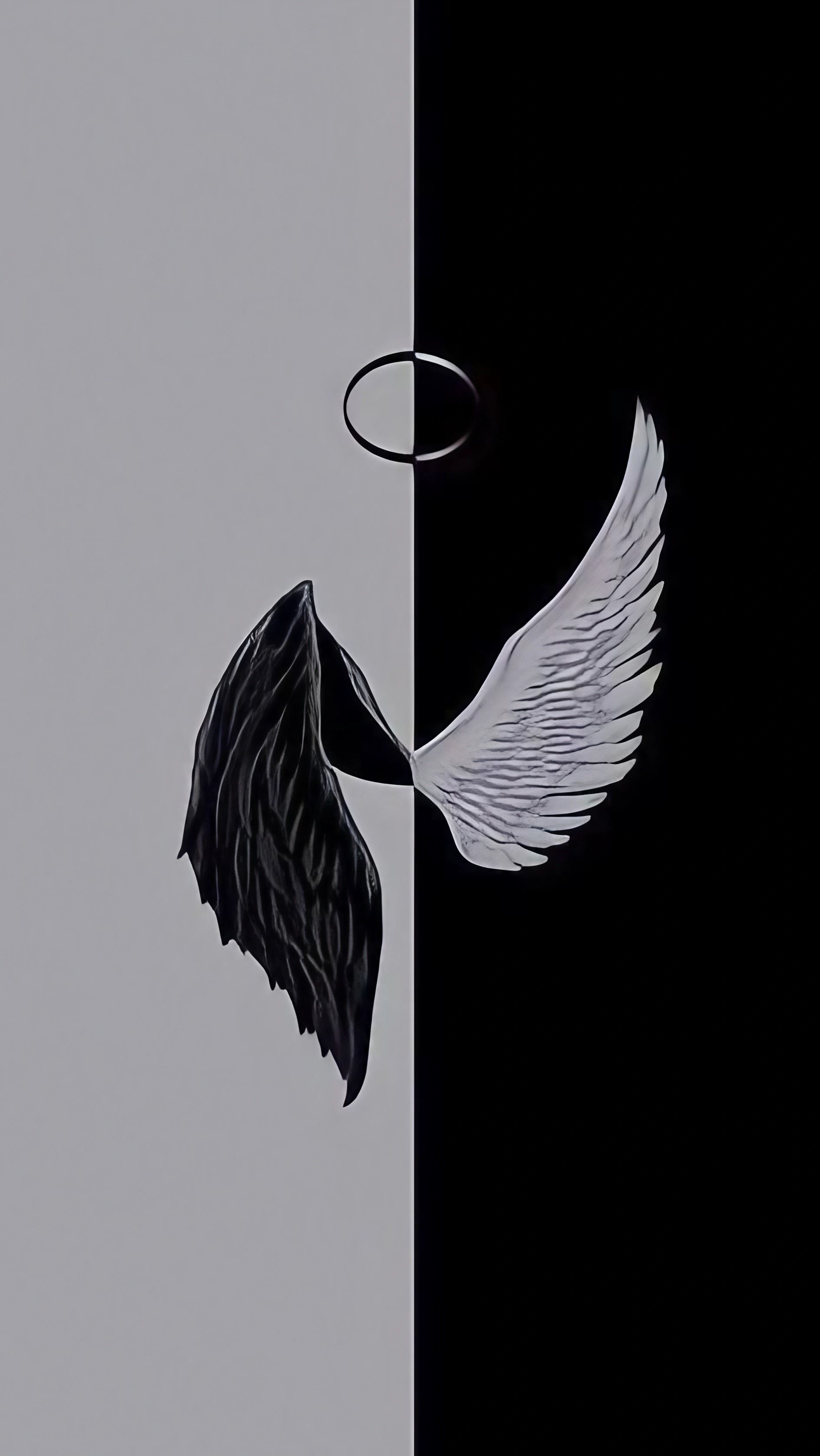 A split image of a black wing and a white wing with a halo above the white wing. - Wings, angelcore
