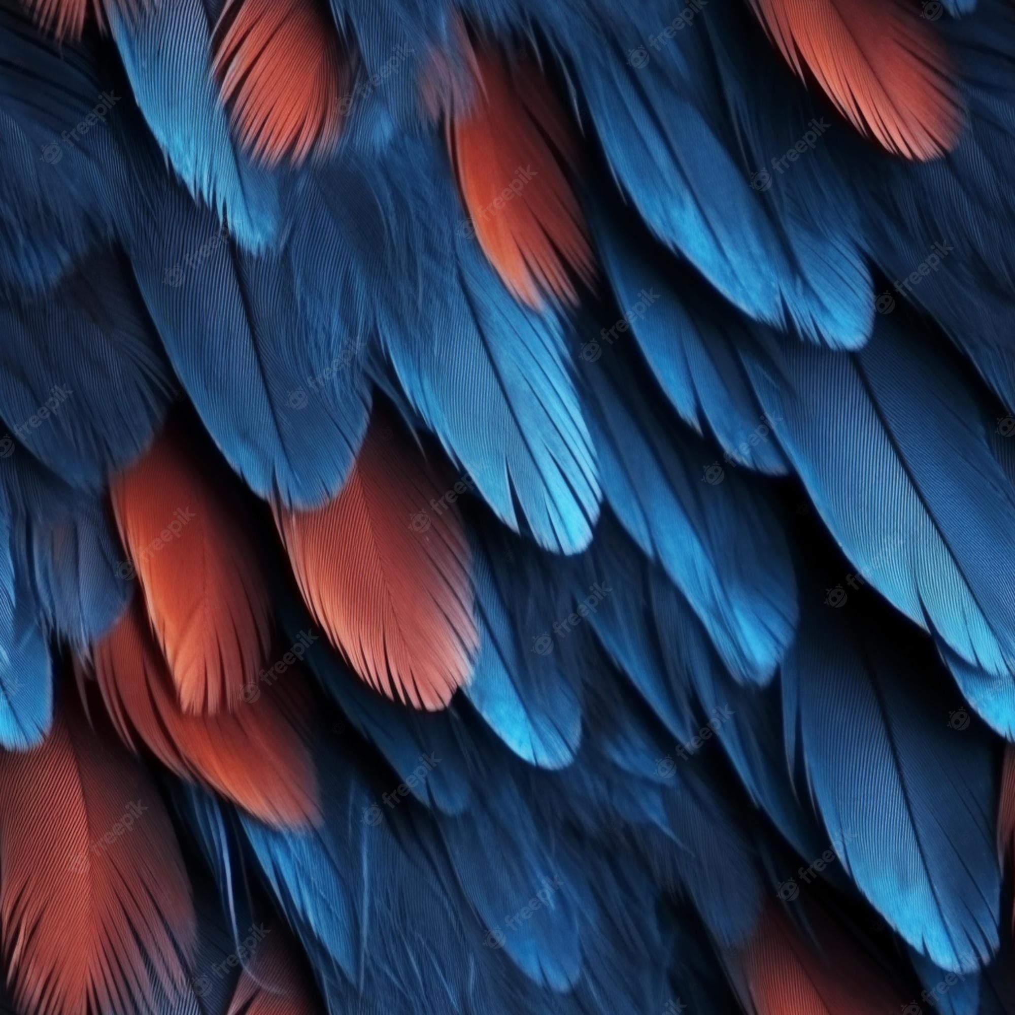 Blue and red feathers of a parrot, close up - Wings