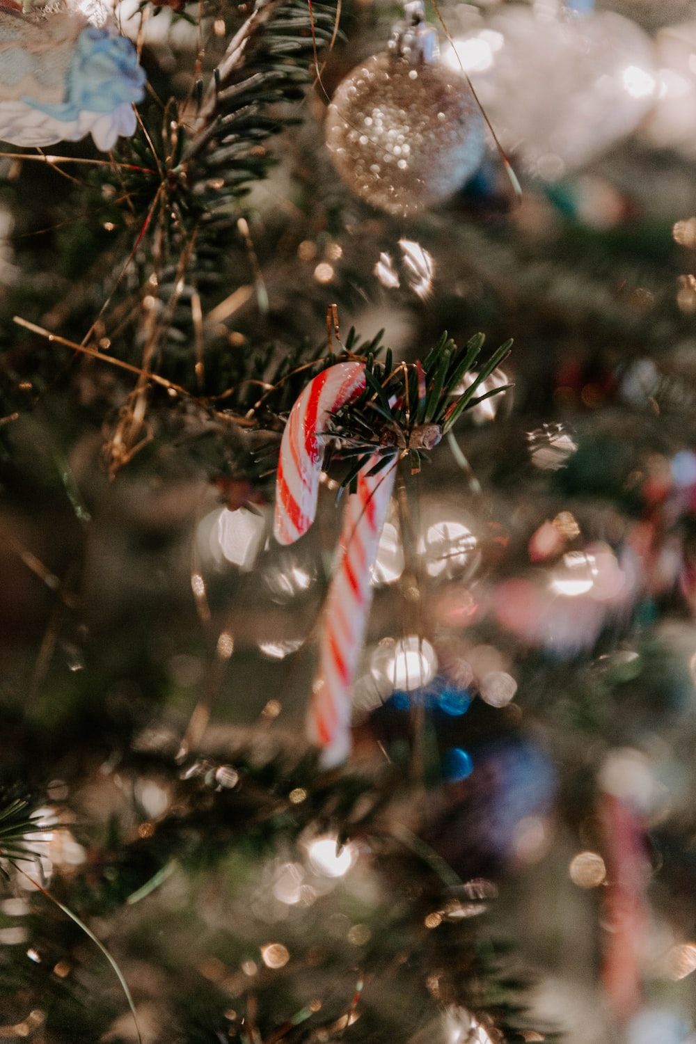 white and red candy cane Christmas decor photo