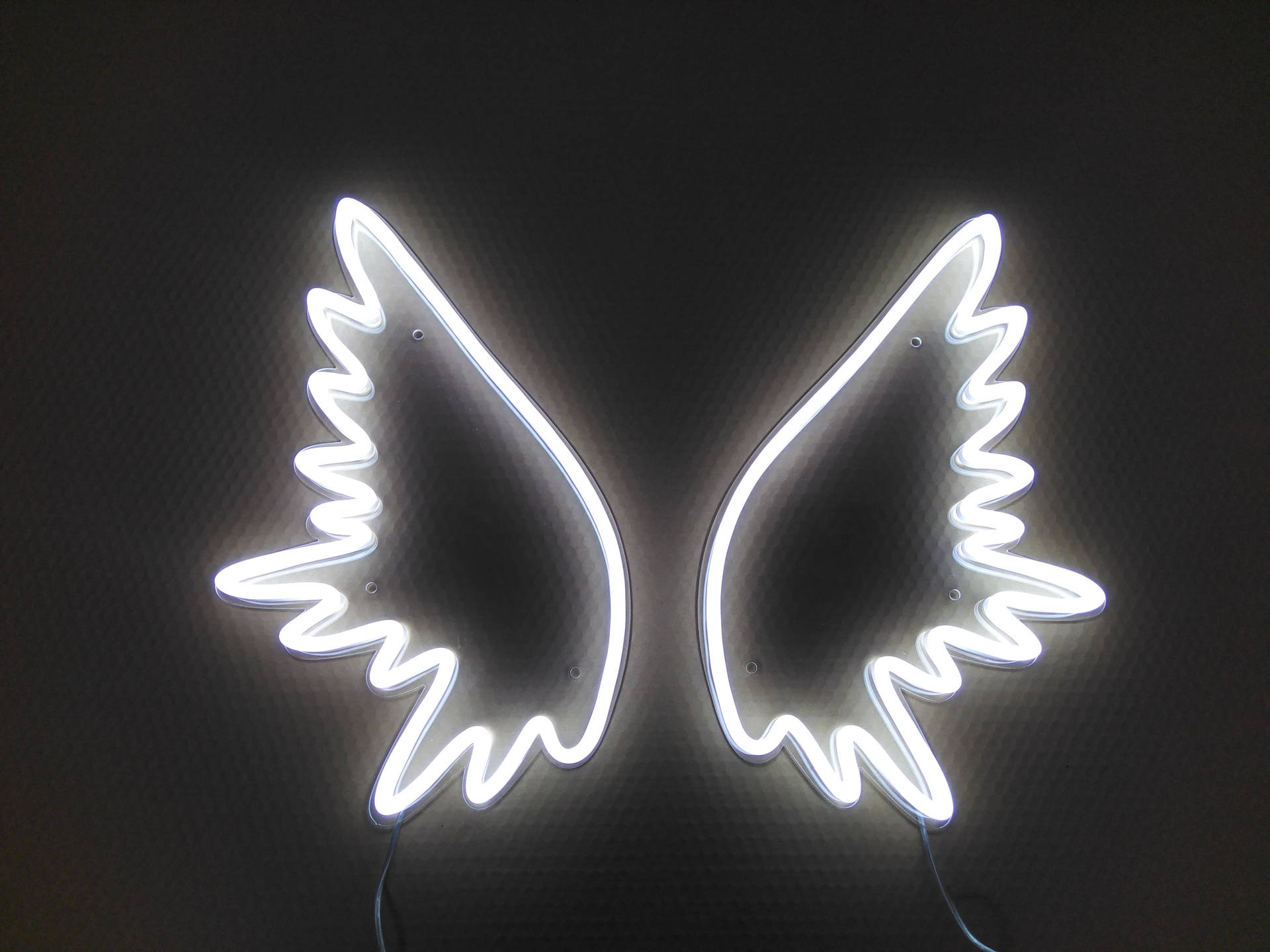 Download Angel Wings White Neon Aesthetic Wallpaper