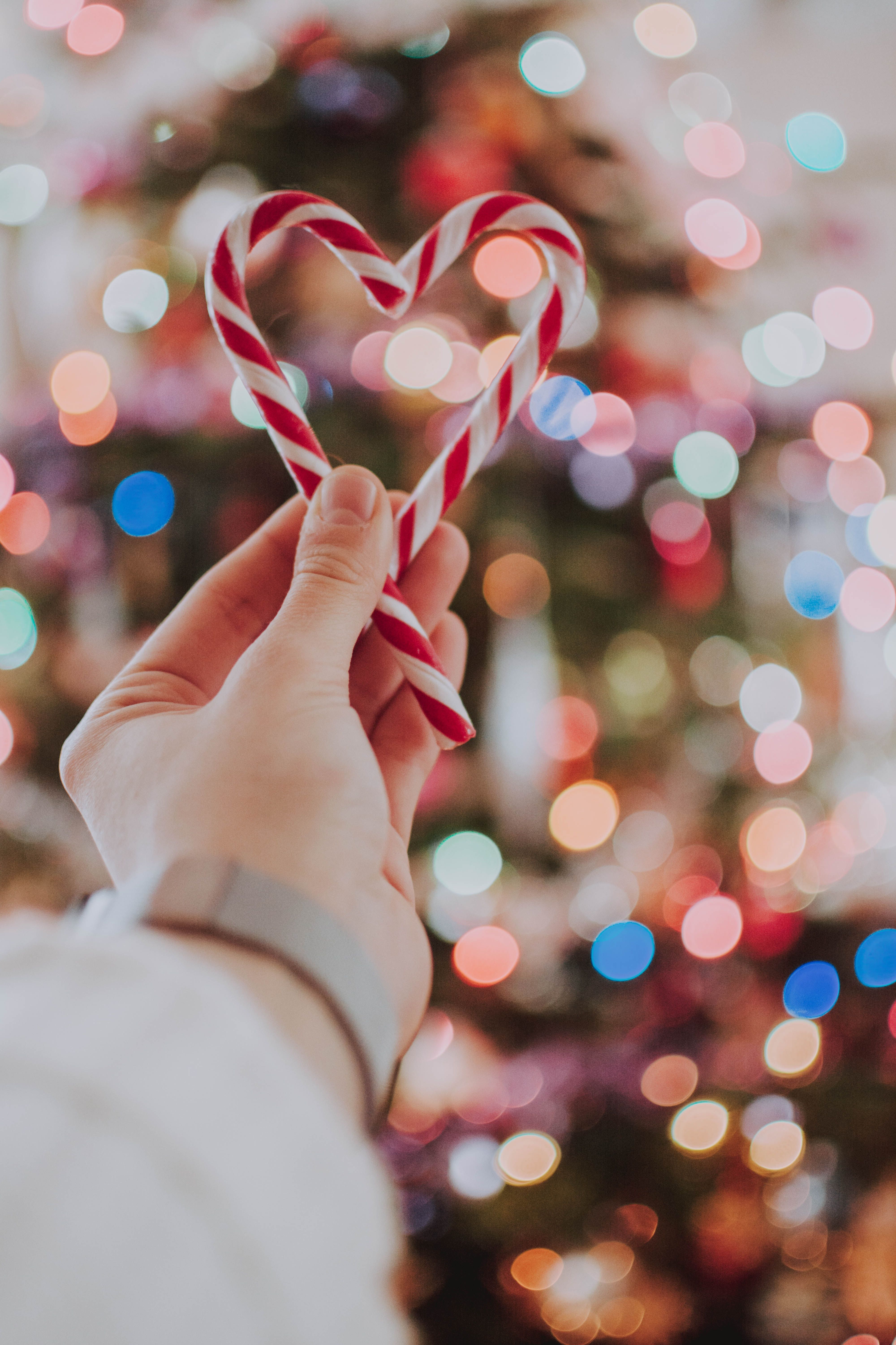 A hand holding a heart shaped candy cane in front of a lit Christmas tree. - Candy cane