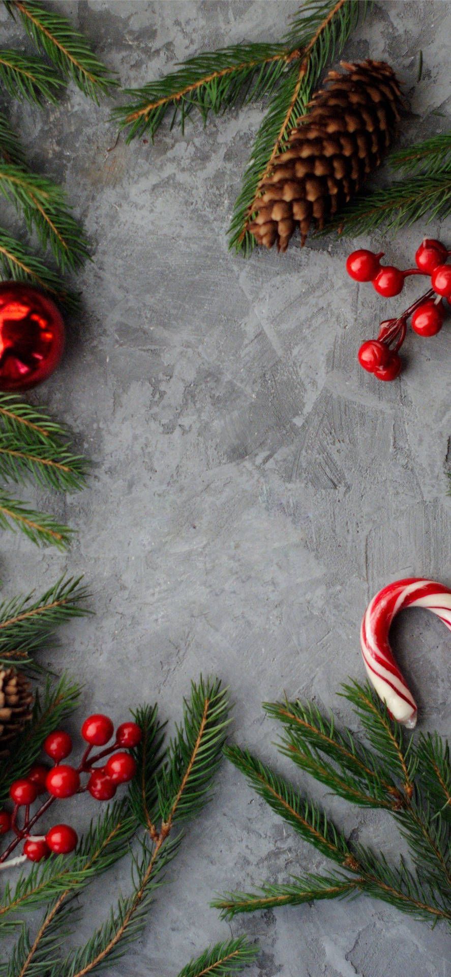 Gray background with Christmas decorations, red berries, pine cones and branches. - Candy cane