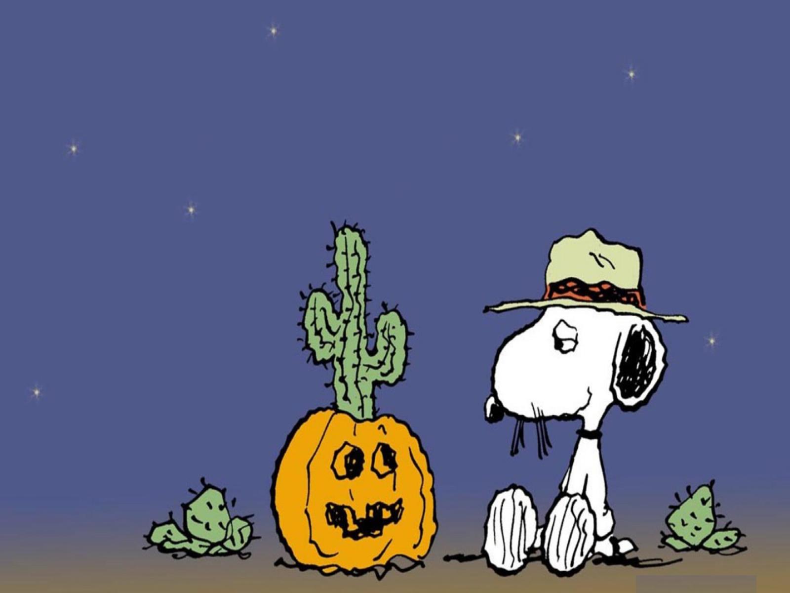 Snoopy and person in a halloween scene - Snoopy, Charlie Brown, Halloween desktop