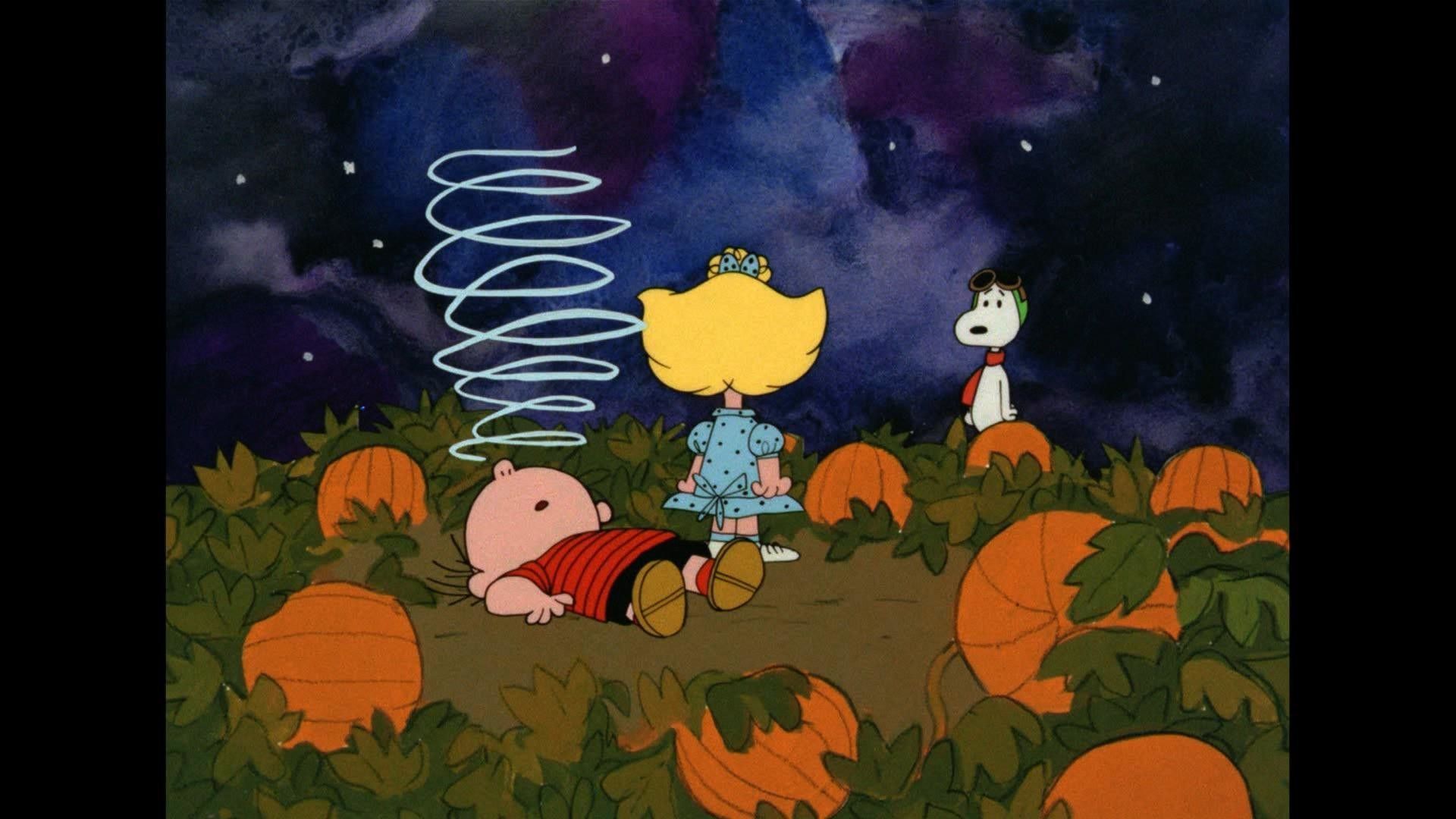 A cartoon character is standing in front of some pumpkins - Charlie Brown, Snoopy