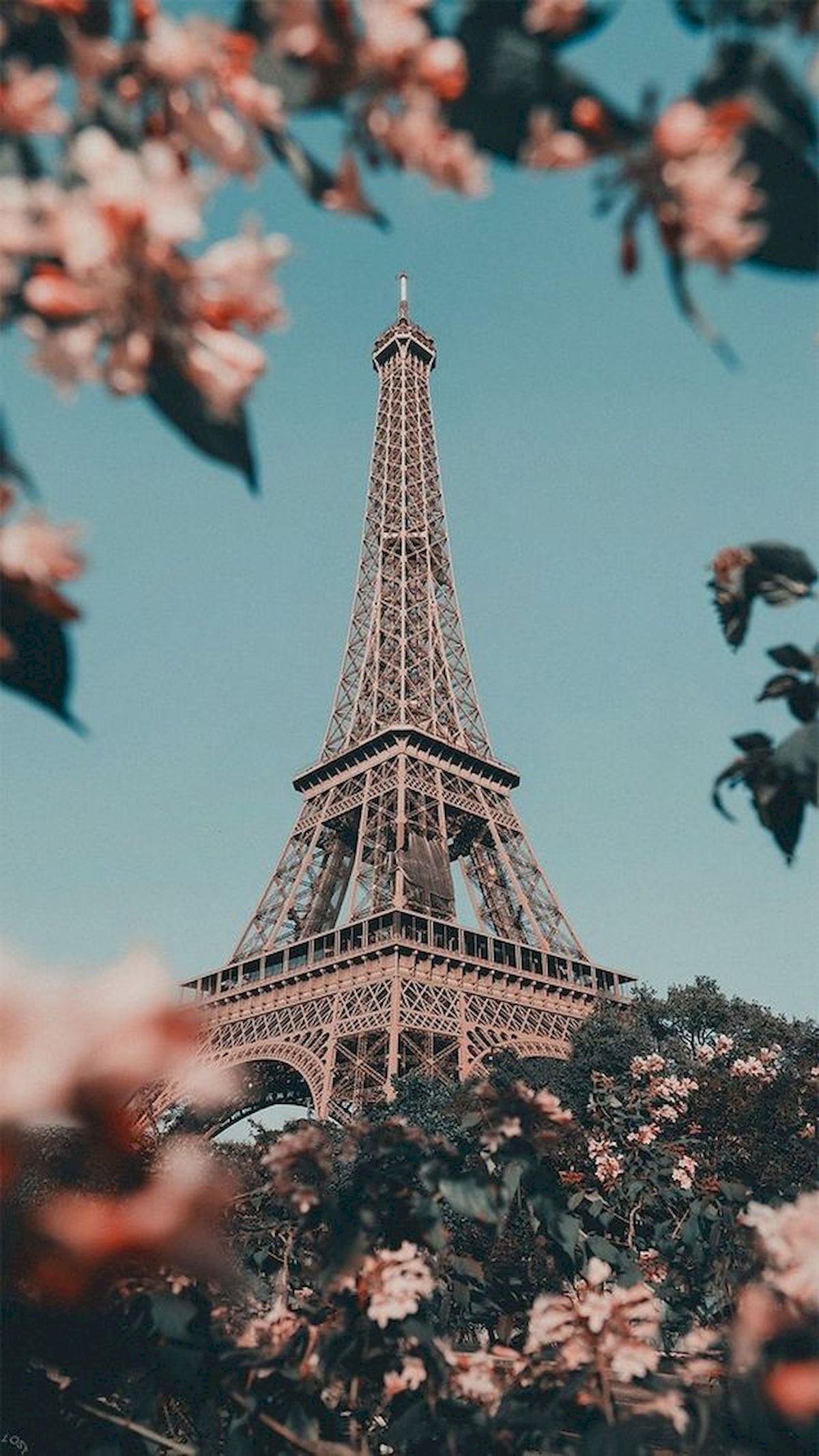Eiffel Tower iPhone Wallpaper with high-resolution 1080x1920 pixel. You can use this wallpaper for your iPhone 5, 6, 7, 8, X, XS, XR backgrounds, Mobile Screensaver, or iPad Lock Screen - Paris, Eiffel Tower