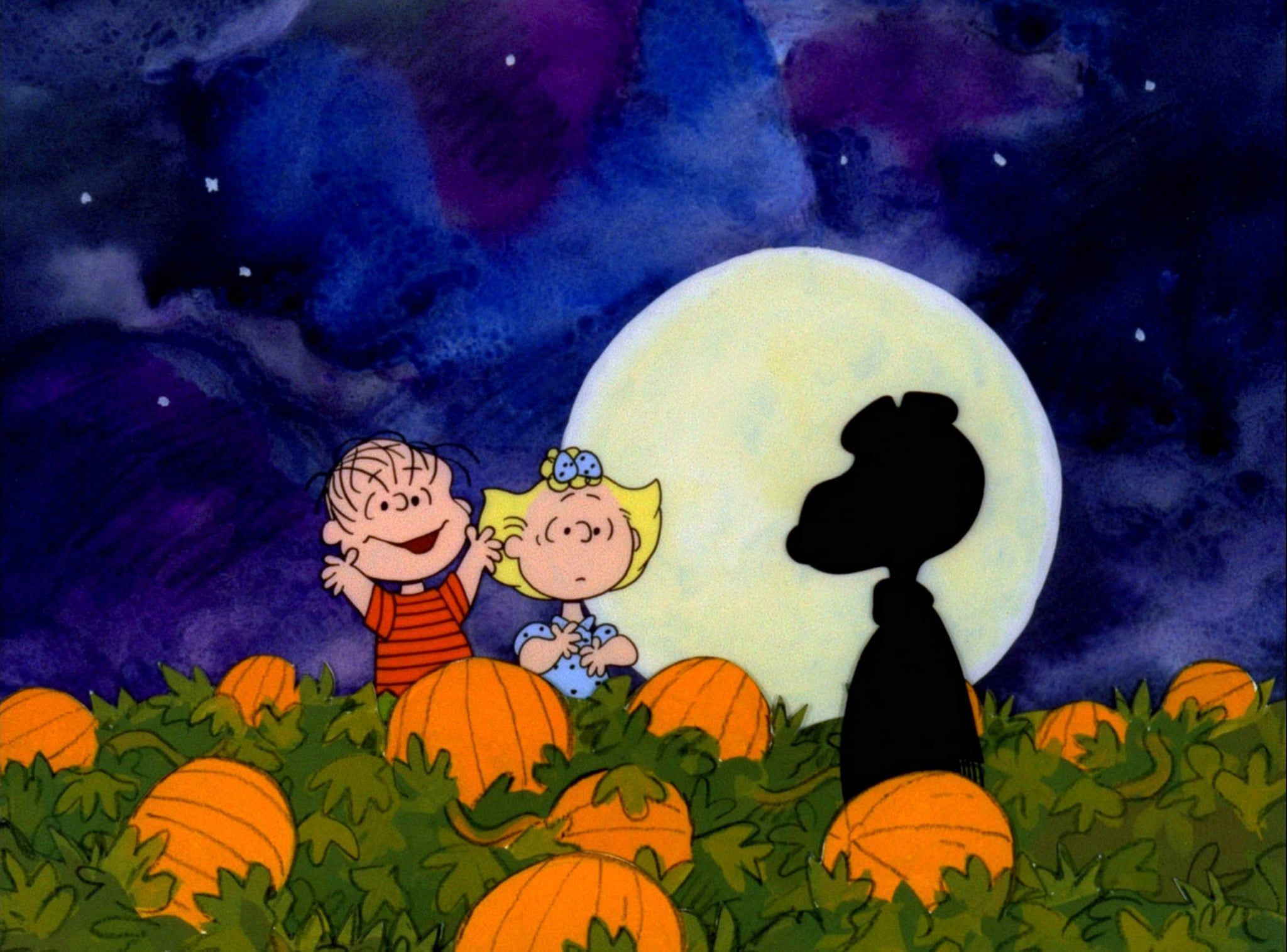 Charlie Brown and Sally Brown sit on a pumpkin in a pumpkin patch. - Charlie Brown