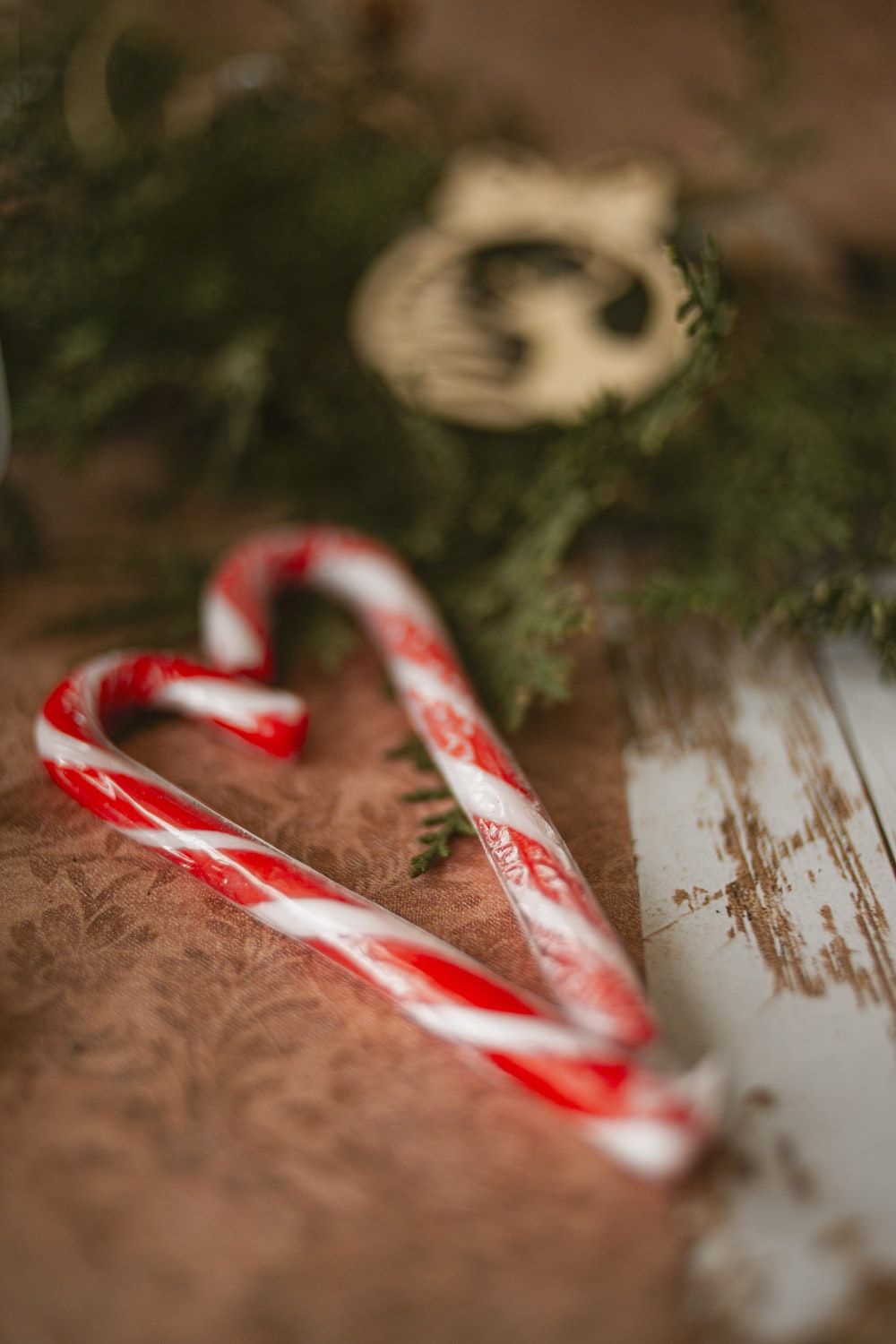 white and red candy cane photo