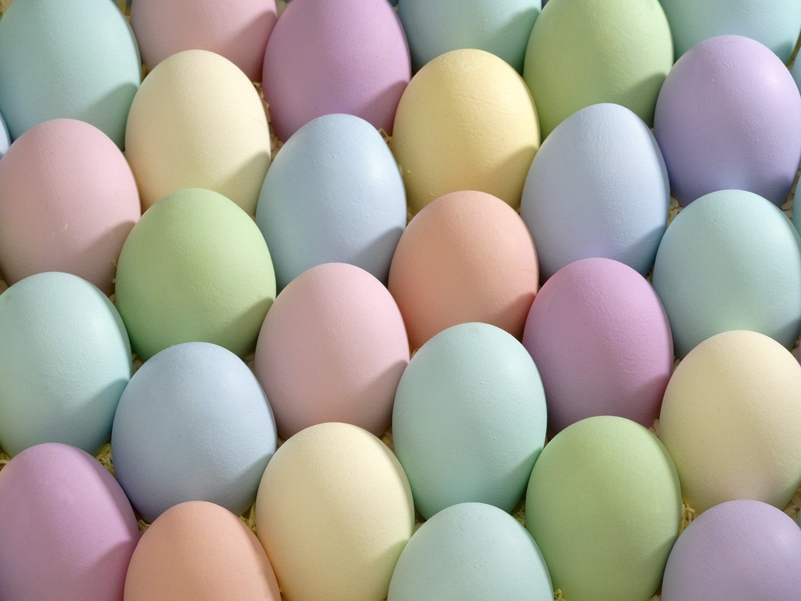 Easter eggs are pastel colored and are placed in a carton. - Egg