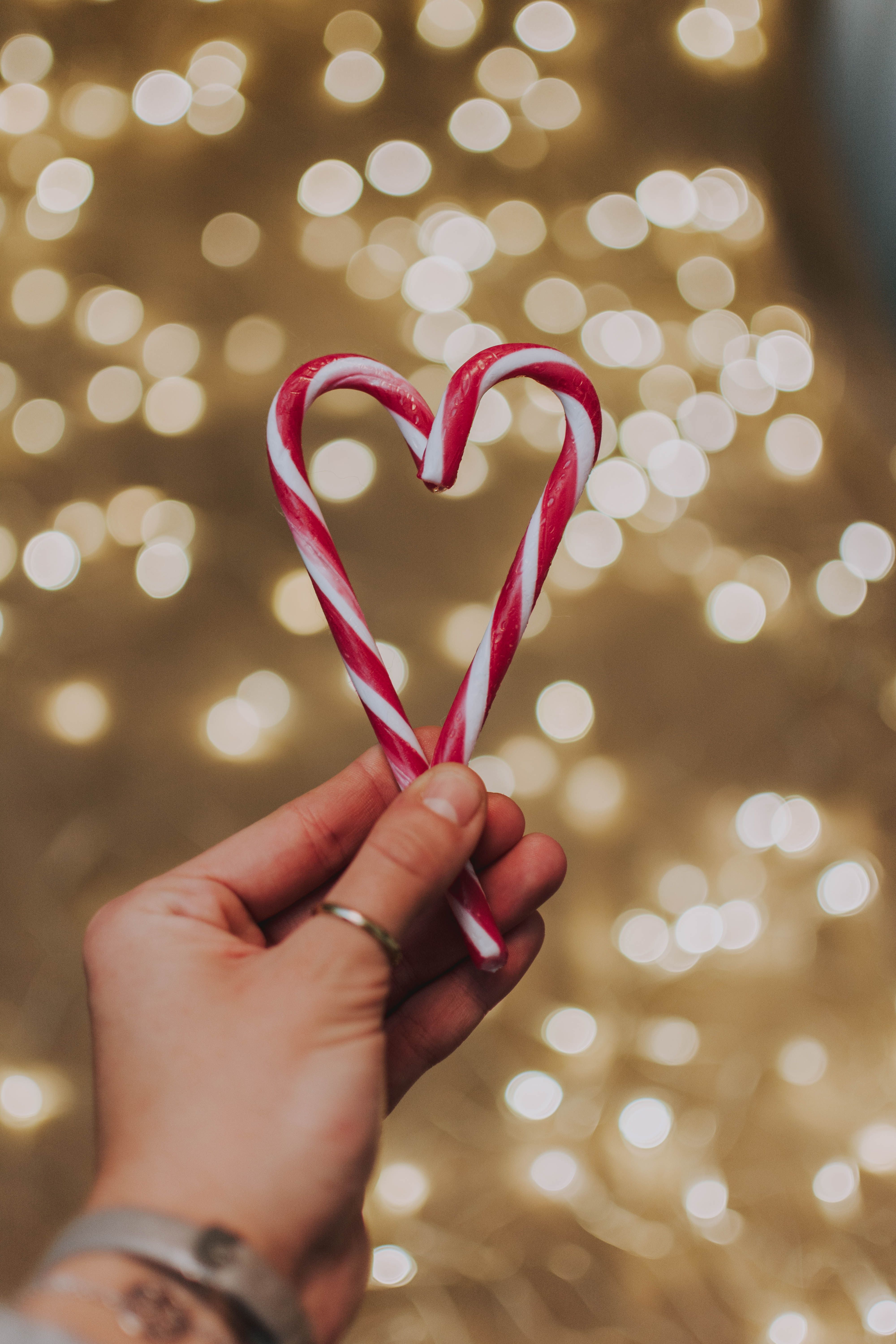 Candy Cane Photo, Download Free Candy Cane & HD Image