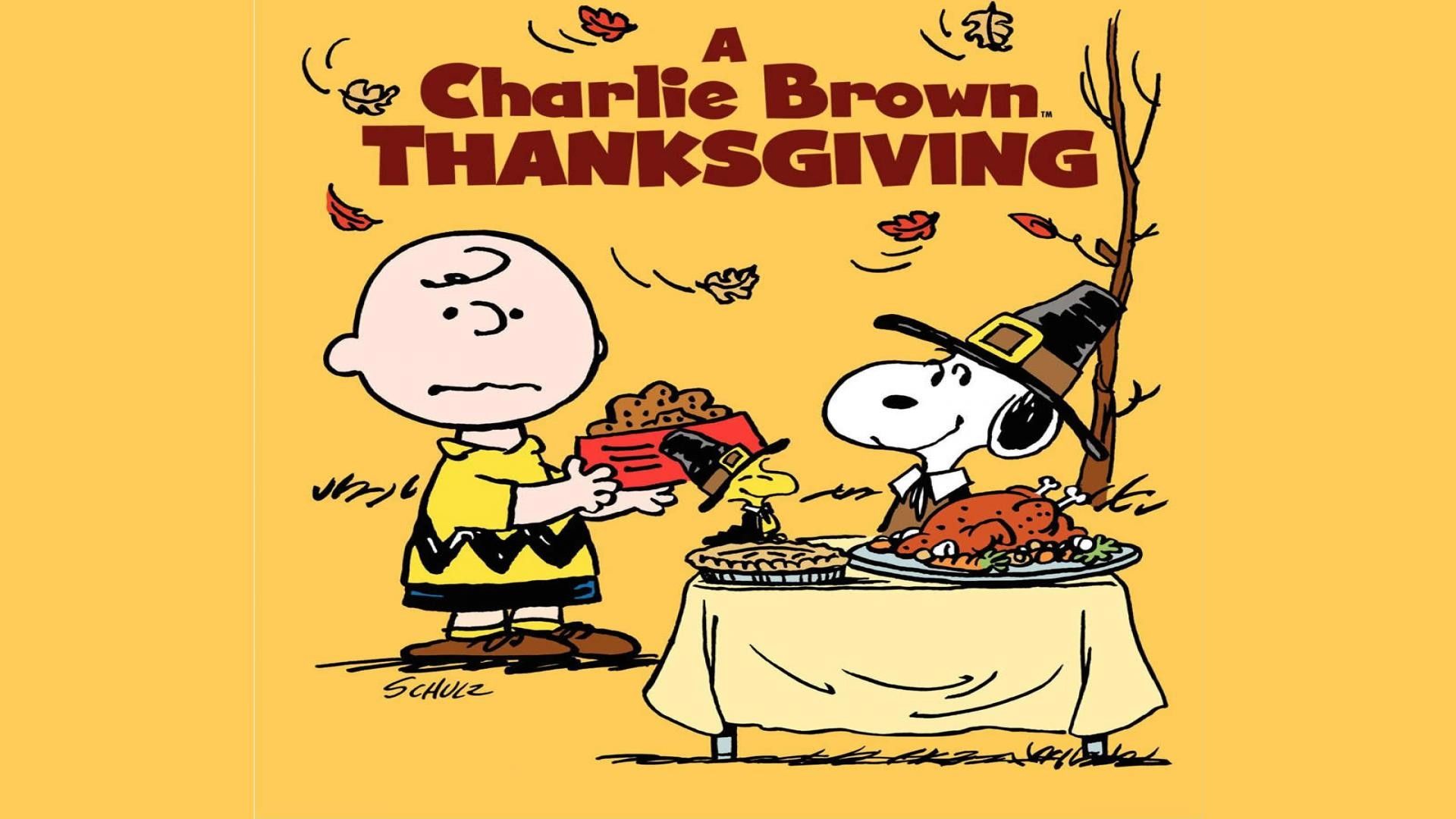 A charlie brown thanksgiving - Charlie Brown