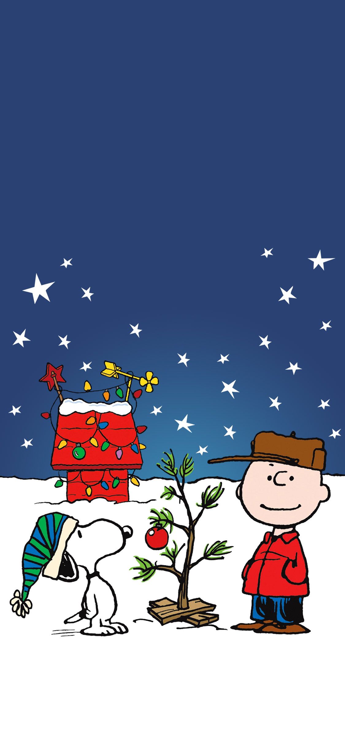 Charlie Brown Christmas iPhone Wallpaper with high-resolution 1080x1920 pixel. You can use this wallpaper for your iPhone 5, 6, 7, 8, X, XS, XR backgrounds, Mobile Screensaver, or iPad Lock Screen - Charlie Brown