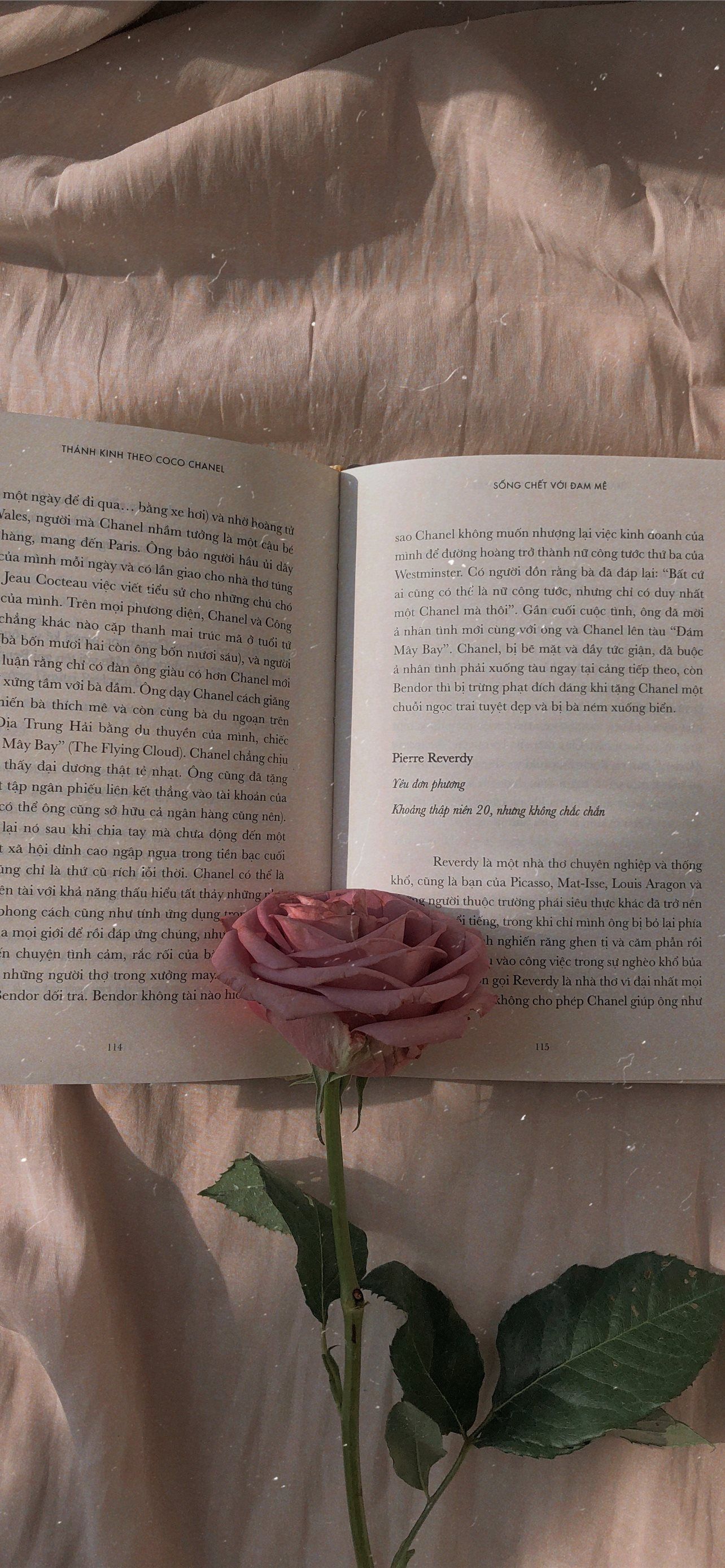 A book with a page turned to a page with a rose in front of it - Books